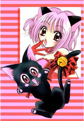 Plakat Anime Tokyo Mew Mew TMM_004 A2 (custom)
