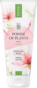 Balsamy i kremy do ciała - Lirene Power of Plants Nawilżający Balsam do ciała Rose Touch 200 ml - miniaturka - grafika 1