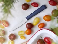 Noże kuchenne - Opinel, Nóż kuchenny ze stali, 10x9,8x19,8 cm - miniaturka - grafika 1