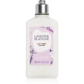 Balsamy i kremy do ciała - L'Occitane Lavande Blanche mleczko do ciała 250 ml dla kobiet - miniaturka - grafika 1