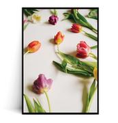 Plakaty - Fox Art Studio, Plakat, Tulipany Wiosenne,   wymiary 40x50 cm - miniaturka - grafika 1