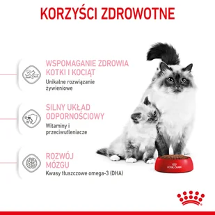 ROYAL CANIN  Mother&Babycat 4kg karma sucha dla kotek w okresie ciąży, laktacji i kociąt od 1 do 4 miesiąca życia + niespodzianka dla kota GRATIS! - Sucha karma dla kotów - miniaturka - grafika 6