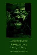 Kulturoznawstwo i antropologia - Starożytna Litwa. Ludy i bogi. Szkice mitologiczne i historyczne. Seria: Biblioteka tradycji europejskiej - miniaturka - grafika 1