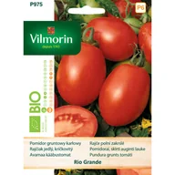 Nasiona i cebule - Pomidor gruntowy wysoki Bio Rio Grande nasiona Vilmorin - miniaturka - grafika 1