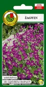Nasiona i cebule - Żagwin Mieszanka 0.3 g PNOS - miniaturka - grafika 1