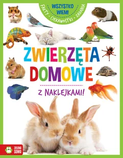 ZIELONA SOWA Zwierzęta domowe. Wszystko wiem! - Opracowanie zbiorowe - Kolorowanki, wyklejanki - miniaturka - grafika 2