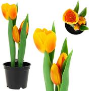 Sztuczne kwiaty - Tulipan Tulipany Gumowane Kwiaty Jak Żywe Premium - miniaturka - grafika 1