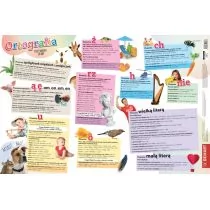 Podkładka na biurko Zasady ortografii - Podkładki na biurko - miniaturka - grafika 1