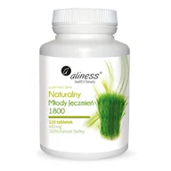 Układ nerwowy - Medicaline Naturalny Młody Jęczmień 1800 120 tab - miniaturka - grafika 1