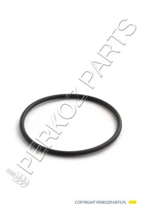 NEW HOLLAND CASE PIERŚCIEŃ CASE CNH 71486441 71486441 - Części i akcesoria do maszyn rolniczych - miniaturka - grafika 1