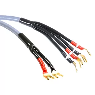 Kable głośnikowe bi-wiring - Melodika MDBW41530GS - 3m 3m ✦ SALON ✦ ZAPYTAJ O RABAT ✦ RATY 30x0% - Kable Kable głośnikowe bi-wiring - Melodika MDBW41530GS - 3m 3m ✦ SALON ✦ ZAPYTAJ O RABAT ✦ RATY 30x0% - Kable - miniaturka - grafika 1