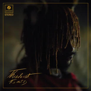 Thundercat It Is What It Is - Soul - miniaturka - grafika 2