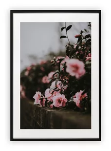Plakat A4 21x30 cm  Rózowe róże kwiaty WZORY - Plakaty - miniaturka - grafika 1