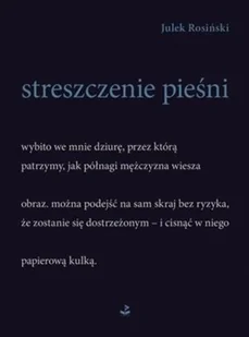 Streszczenie pieśni Nowa - Poezja - miniaturka - grafika 2