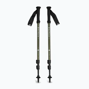 Kije trekkingowe Black Diamond Explorer 3 tundra - Kije trekkingowe - miniaturka - grafika 1