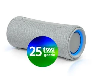 Sony SRS-XG300 Szary - Głośniki przenośne - miniaturka - grafika 1