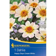 Nasiona i cebule - Dalia ciemnolistna Happy Days Creamwhite - miniaturka - grafika 1