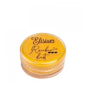 Odżywki do paznokci - Elisium Elisium Rainbow Dust Pyłek do paznokci Mustard 01 2,5g 41248-uniw - miniaturka - grafika 1
