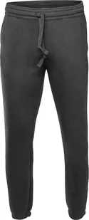 Champion Spodnie dresowe męskie Champion - Spodnie sportowe męskie - miniaturka - grafika 1