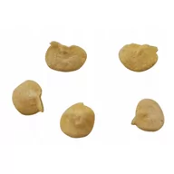 Nasiona i cebule - Nasiona papryka De Cayenne super ostra chili - miniaturka - grafika 1