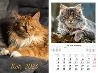 Kalendarze - Kalendarz ścienny 2026 Koty - kalendarz - miniaturka - grafika 1