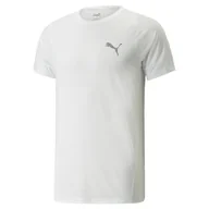 Koszulki męskie - PUMA KOSZULKA EVOSTRIPE 84739402 r XXL - miniaturka - grafika 1
