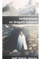 Religia i religioznawstwo - Kontemplacja na drogach ludzkich - miniaturka - grafika 1