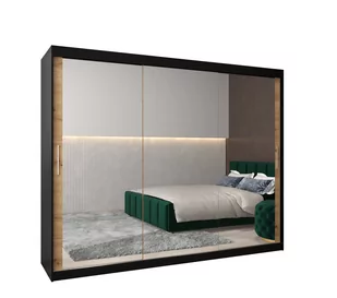 Szafa przesuwna garderoba TOKYO 3 250 gł. 62 Czarny / Artisan - Szafy - miniaturka - grafika 1
