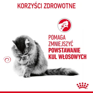 ROYAL CANIN Hairball Care 10kg karma sucha dla kotów dorosłych, eliminacja kul włosowych + Hairball Care (sos) 12x85g - Sucha karma dla kotów - miniaturka - grafika 5