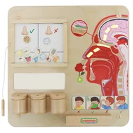 Tablice dla dzieci - Masterkidz MASTERKIDZ Tablica Edukacyjna Zmysł Węchu ME15822 - miniaturka - grafika 1
