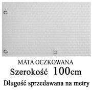 Parawany - Mata,osłona balkonowa OCZKOWANA z technorattanu, kolor biały, szerokość 1,00 m - miniaturka - grafika 1
