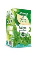 Herbata - Herbata HERBAPOL ZIELNIK POLSKI Mięta (20 torebek) - miniaturka - grafika 1