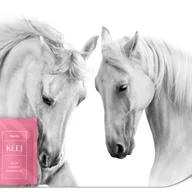 Fototapety - FOTOTAPETA DO JADALNI SALONU BIAŁE KONIE ZWIERZĘTA TAPETA NA ŚCIANĘ 350x256 - miniaturka - grafika 1