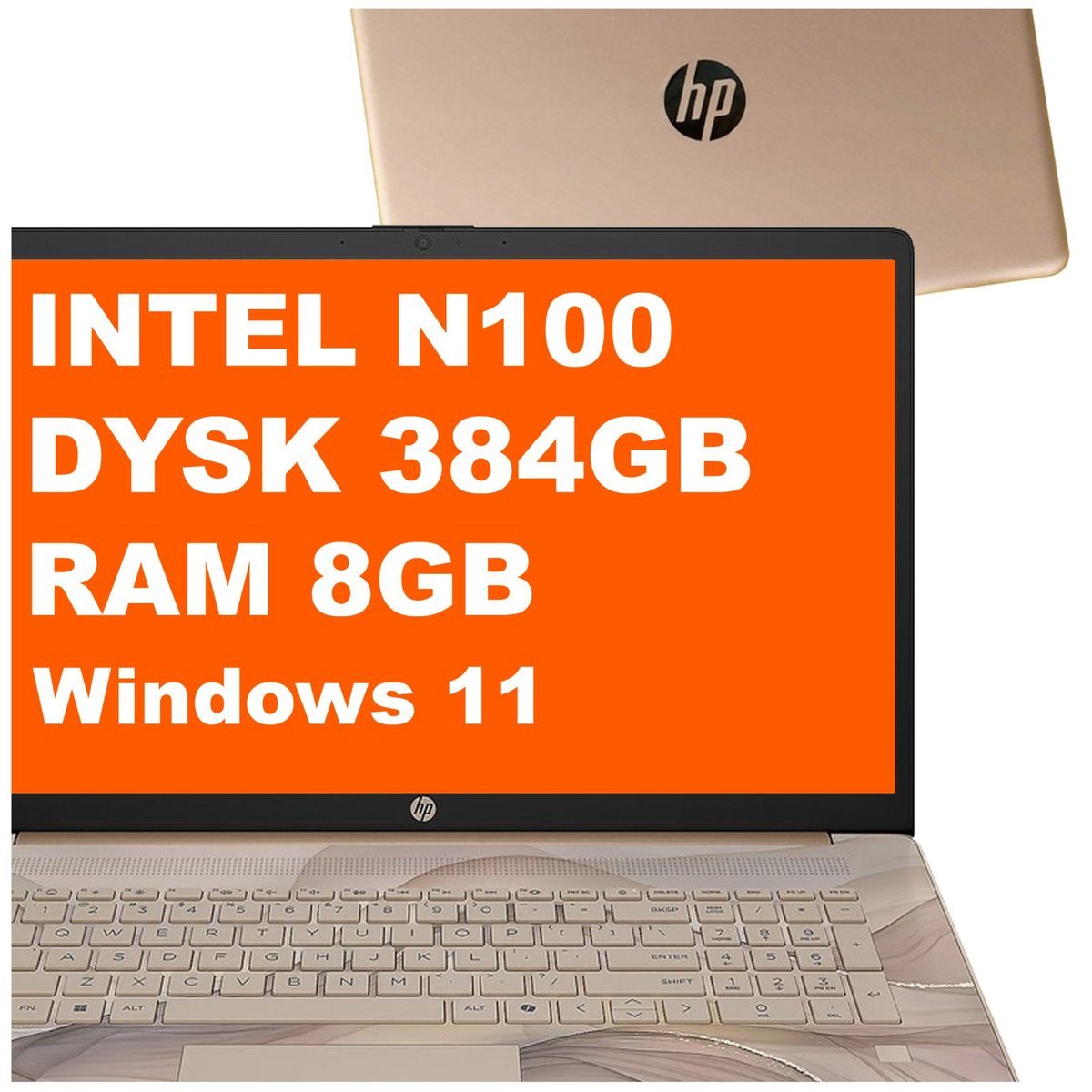 HP 17-cn3164ds / BS6W5UA / Intel N100 / 8GB / 384GB / Intel UHD / HD+ / Win 11 / Chai Latte