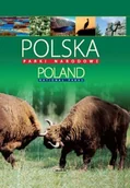 Albumy krajoznawcze - Polska. Parki Narodowe / Poland. National Parks - miniaturka - grafika 1