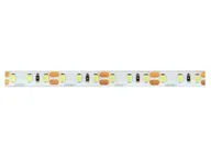 Taśmy LED - Taśma LED LEDline 600SMD2835 12V biała dzienna IP65 5m - miniaturka - grafika 1