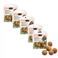 Środki do obuwia i ubrań - 5x Kulki Cedrowe Odświeżające do Butów 1485C - miniaturka - grafika 1