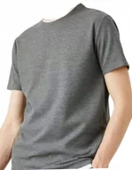Koszulki męskie - Koszulka grafitowa gładka T-shirt męski r.L - miniaturka - grafika 1