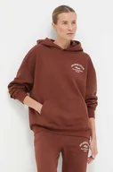 Bluzy damskie - Fila bluza damska kolor brązowy z kapturem z aplikacją - miniaturka - grafika 1