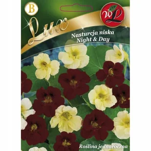 NASTURCJA NISKA NIGHT&DAY duże kwiaty NASIONA KWIATÓW rośliny ozdobne p. PL130/12/210/672A; PL130/12/210/4206A; - Nasiona i cebule - miniaturka - grafika 1