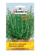 Nasiona i cebule - Plantico Rozmaryn lekarski - miniaturka - grafika 1