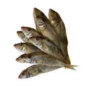 Konserwy i dania rybne - Barwena Suszona Luz ( -100G) - miniaturka - grafika 1