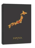 Obrazy i zdjęcia na płótnie - Japonia mapa złota - obraz na płótnie Wymiar do wyboru: 50x70 cm - miniaturka - grafika 1