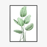 Plakaty - Plakat Strelicja Biała Rama Aluminiowa Kolor Czarny - miniaturka - grafika 1