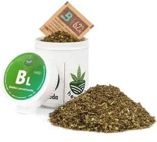 BABKA LANCETOWATA do WAPORYZACJI susz zioła kaszel przeziębienie odporność - Zioła - miniaturka - grafika 1
