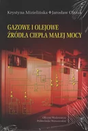 Technika - Gazowe i olejowe źródła ciepła małej mocy - miniaturka - grafika 1