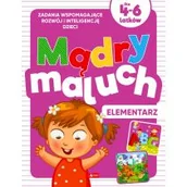 Pedagogika i dydaktyka - Dragon Mądry maluch.Elementarz - miniaturka - grafika 1