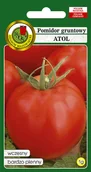Nasiona i cebule - POMIDOR GRUNTOWY ATOL WCZESNY NASIONA BEZ GMO - miniaturka - grafika 1