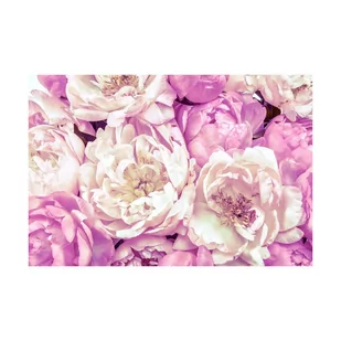 Fototapeta Peonies 368 x 248 cm - Fototapety - miniaturka - grafika 1