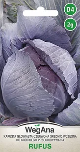 Kapusta głowiasta czerwona średnio wczesna Rufus 2g nasiona - WegAna - Nasiona i cebule Kapusta głowiasta czerwona średnio wczesna Rufus 2g nasiona - WegAna - Nasiona i cebule - miniaturka - grafika 1